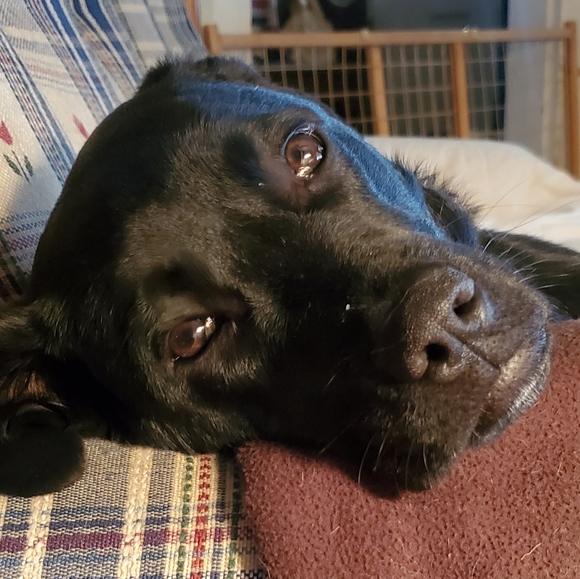 🍻🥂 now accepting offers on bundles - Picture 12 of 17